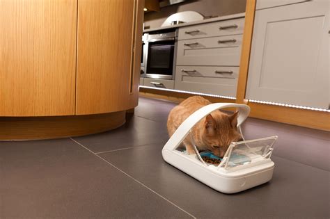 surefeed pet feeder